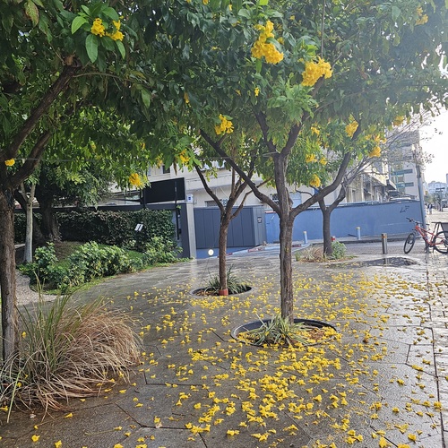 Photo #14085711
