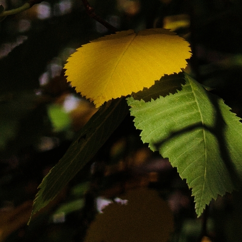 Photo #14085714