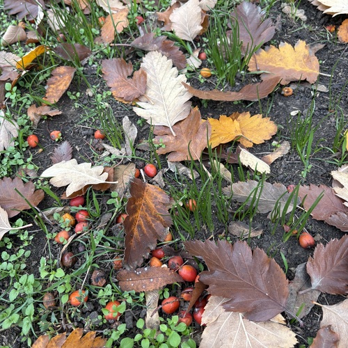 Photo #14085720