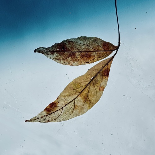 Photo #14085728
