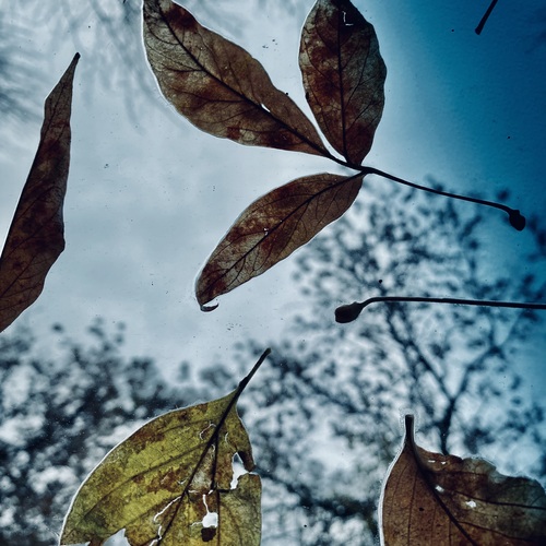 Photo #14085729