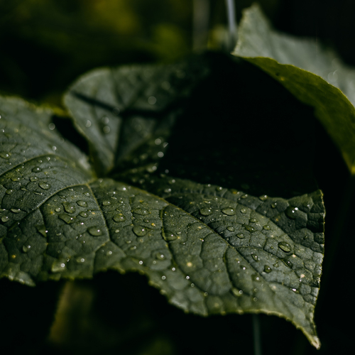 Photo #14085732
