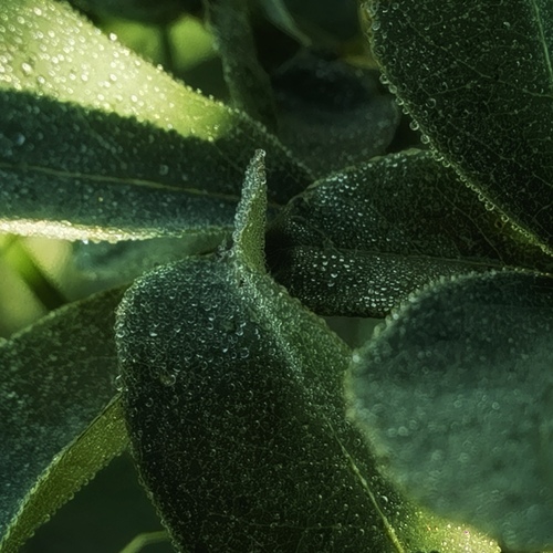 Photo #14085744