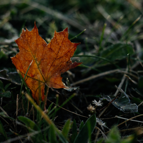 Photo #14085754