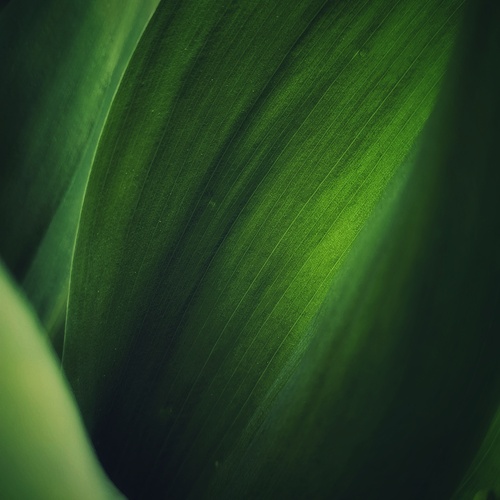 Photo #14085759