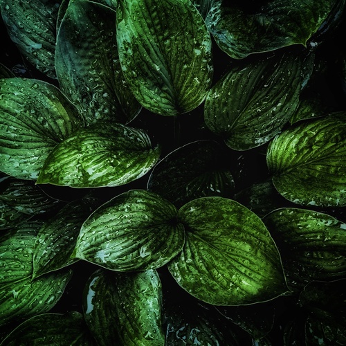 Photo #14085785