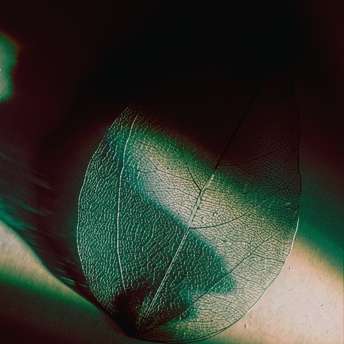 Photo #14085790