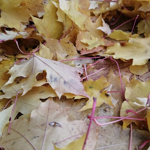 Photo #14085791