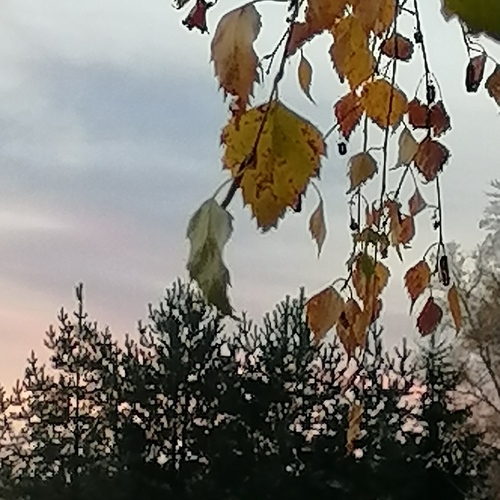 Photo #14085802
