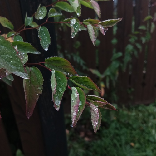 Photo #14085813