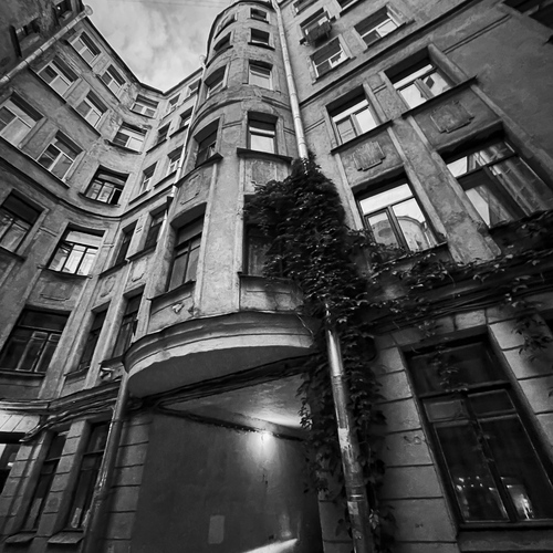 Photo #14085826