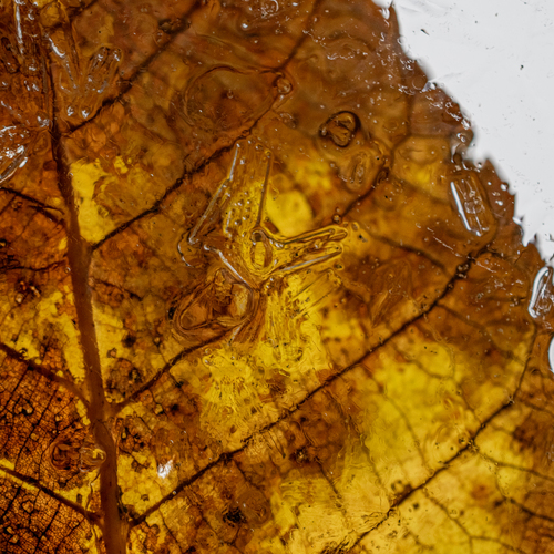 Photo #14085833