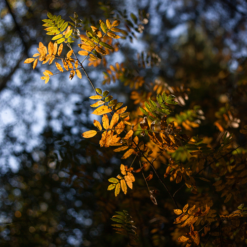 Photo #14085834
