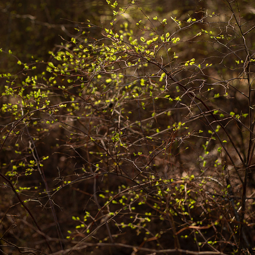Photo #14085835