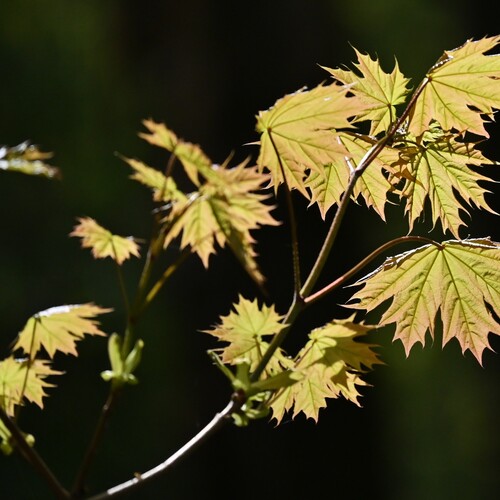 Photo #14085844