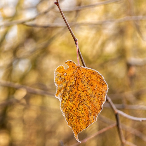 Photo #14085867