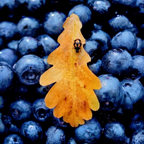 Photo #14085873