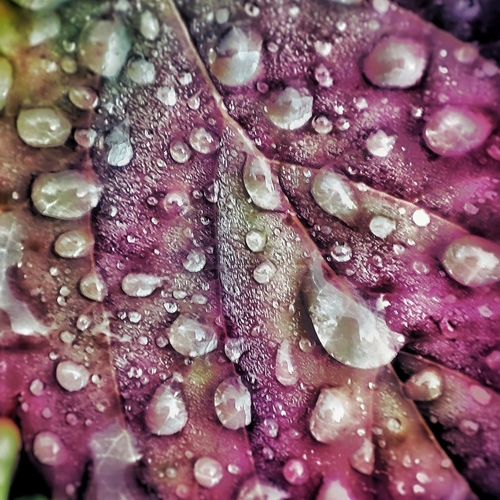 Photo #14085895