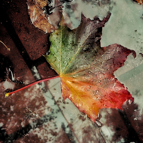 Photo #14085903