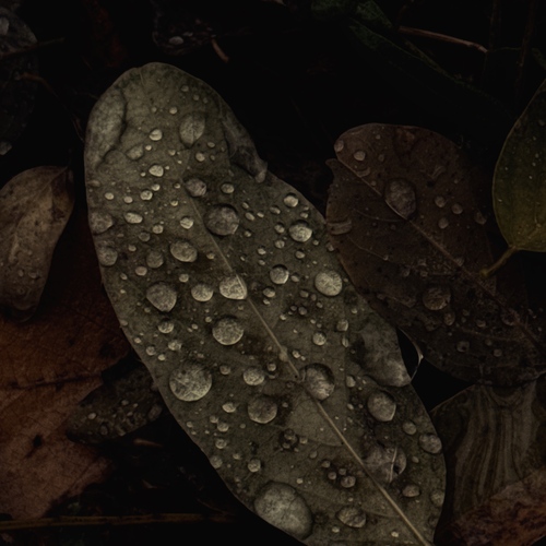 Photo #14085934