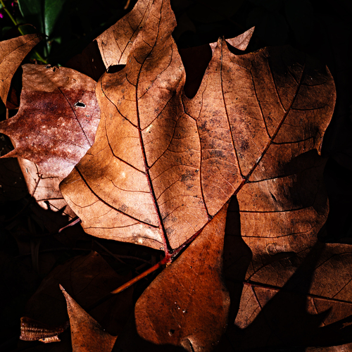 Photo #14085935