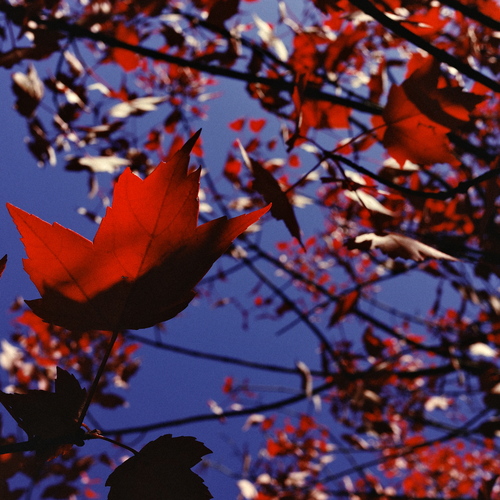 Photo #14085940