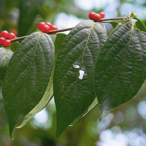 Photo #14085942