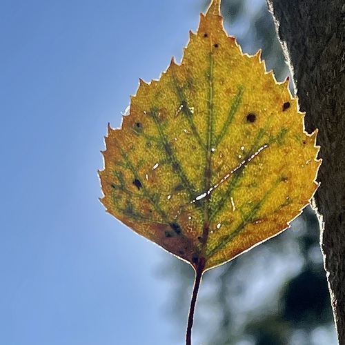 Photo #14085946