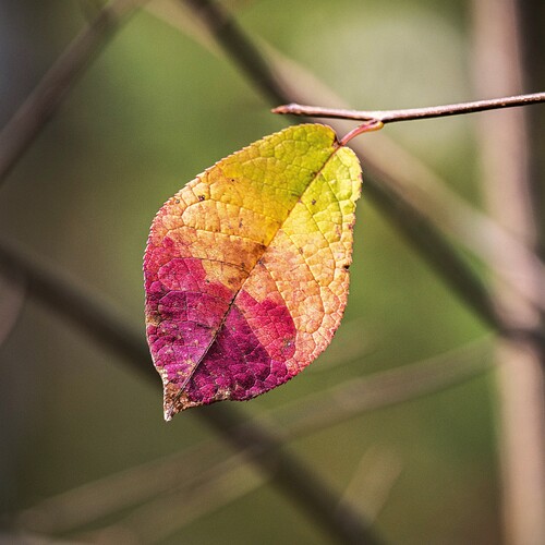Photo #14085948