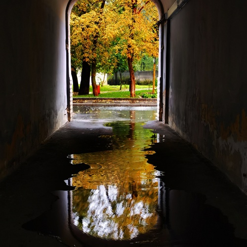 Photo #14085956