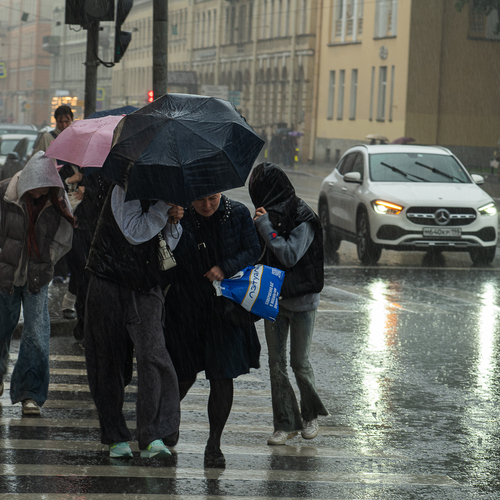 Photo #14085984