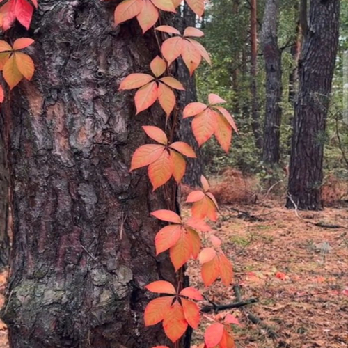 Photo #14085988