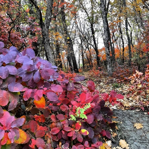 Photo #14085994