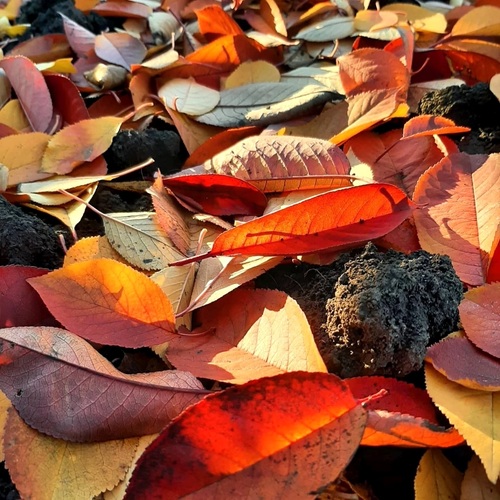 Photo #14086014