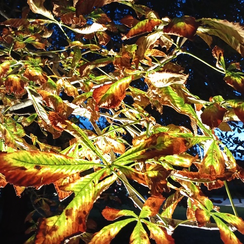 Photo #14086018