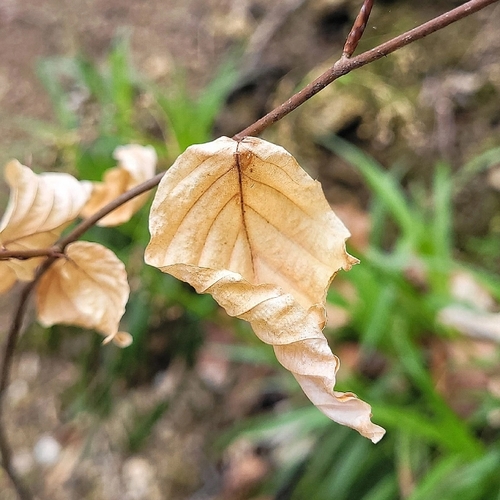 Photo #14086033