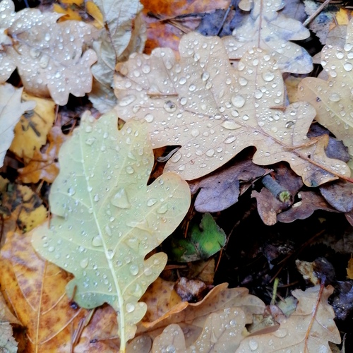 Photo #14086037