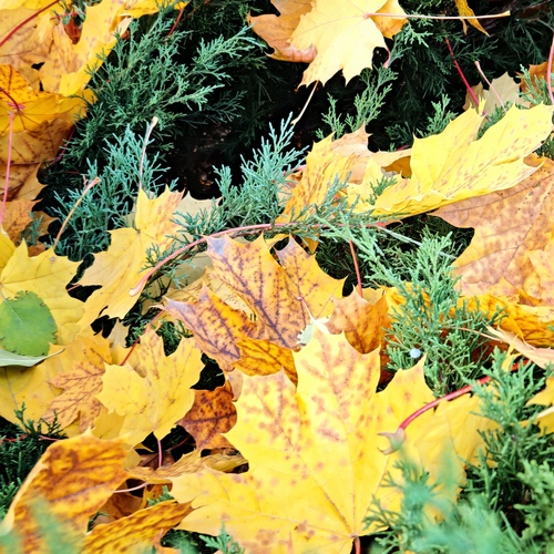 Photo #14086038