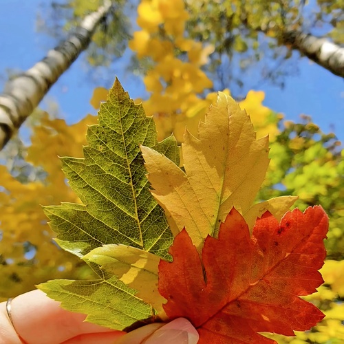 Photo #14086039