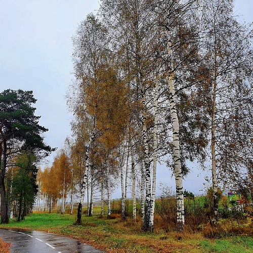 Photo #14086044