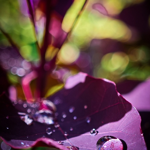 Photo #14086054