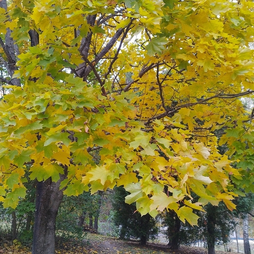 Photo #14086058