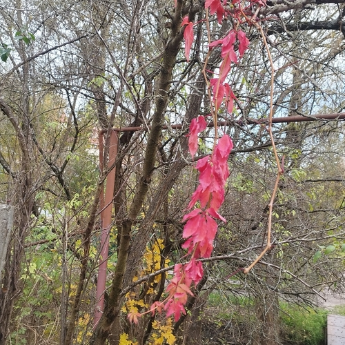 Photo #14086059