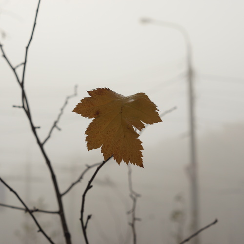Photo #14086064