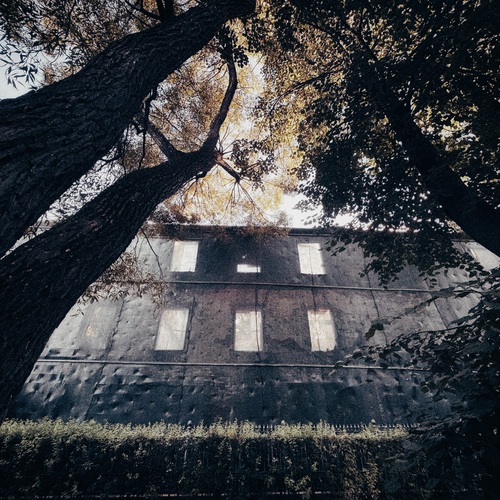 Photo #14086086