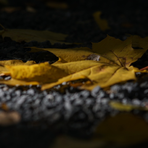 Photo #14086124