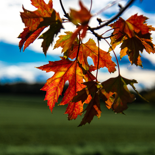 Photo #14086132