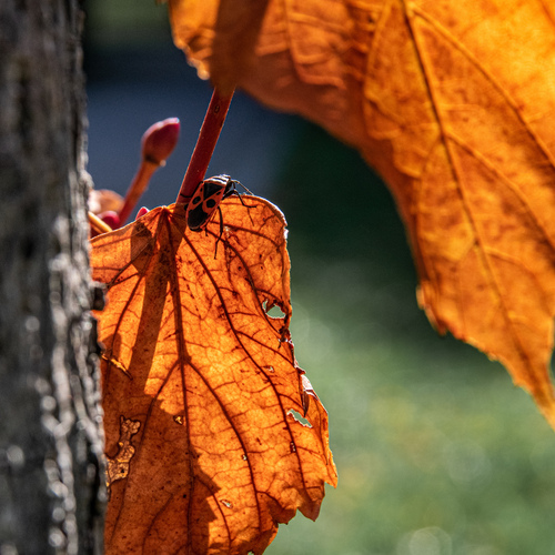 Photo #14086136
