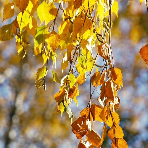 Photo #14086137
