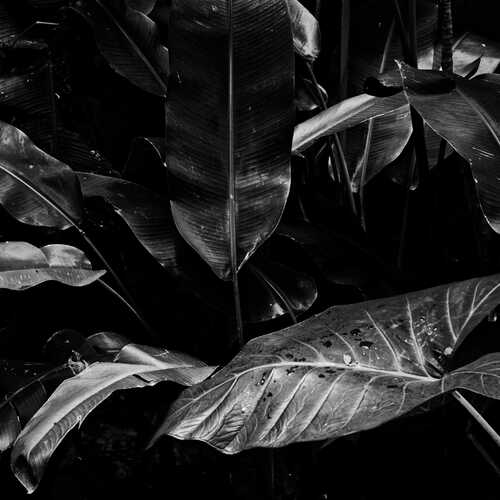 Photo #14086149